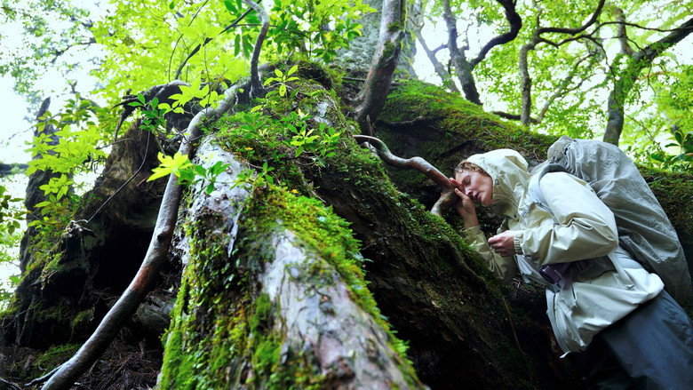 Yakushima's Illusion