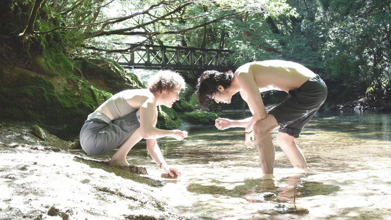 Yakushima's Illusion