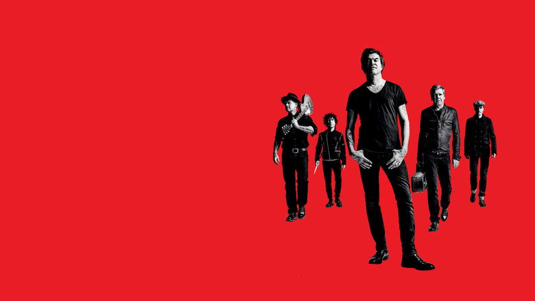You Only Live Once: Die Toten Hosen on Tour