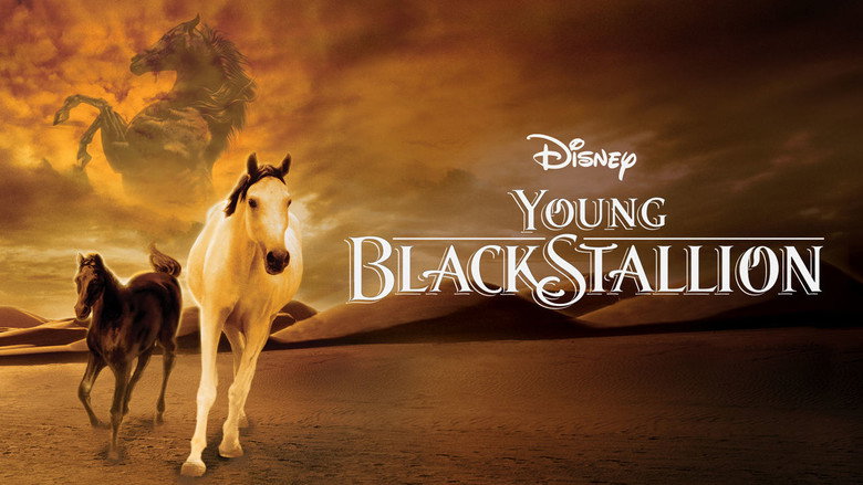 Young Black Stallion