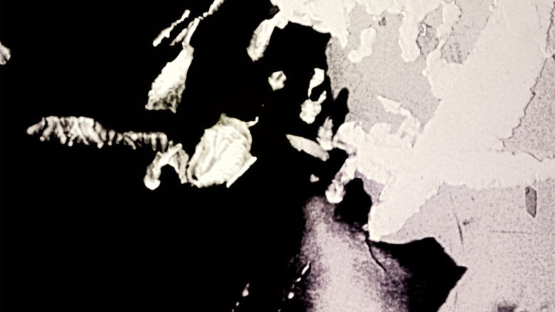 You're a Shadow